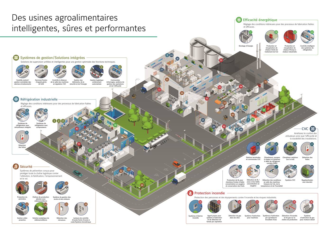 Food and beverages infographic