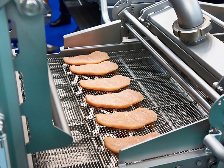 Pieces of meat on conveyor belt for processing